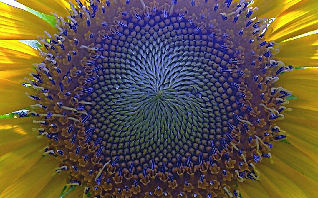 5 Key Steps to Self Trust