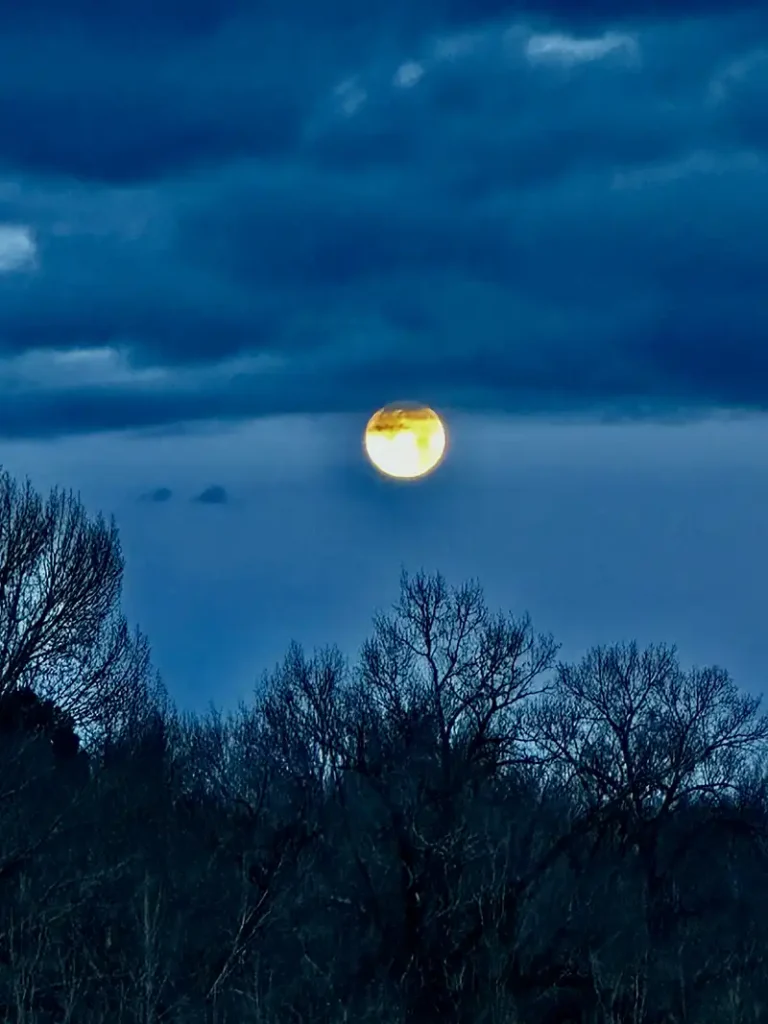 The Shift from the Old Earth to the New Earth